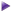 bullet