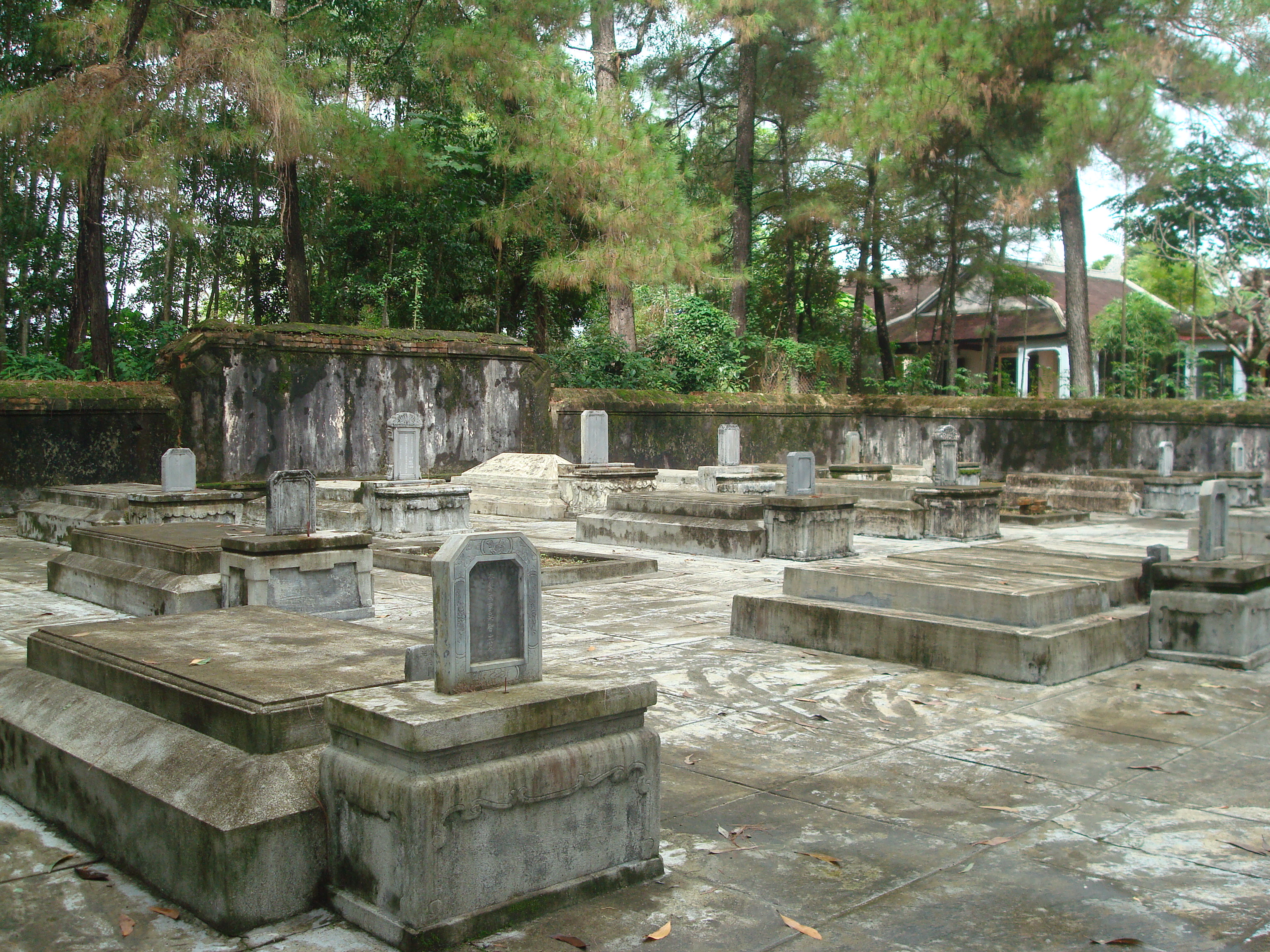 nghiadia