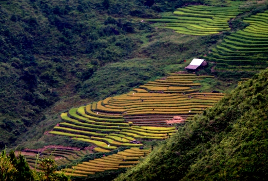 Giữa điệp trùng núi lại xuất hiện những thửa ruộng bậc thang như một nét duyên điểm cho xứ Mù Cang Chải