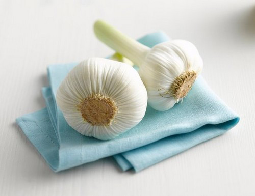 Cà rốt